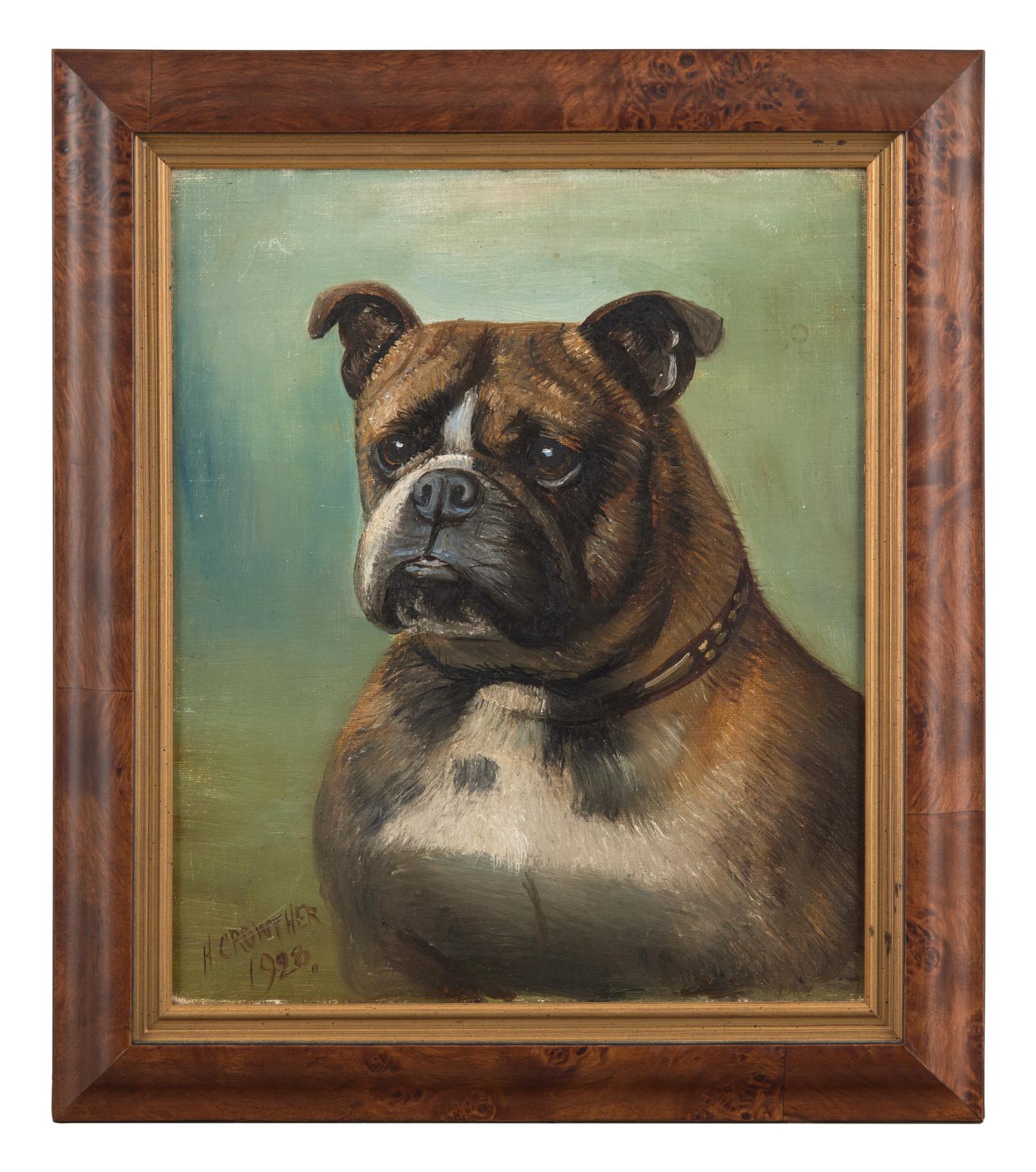 Bulldog, 1928