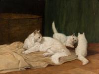 Mischievous Kittens
