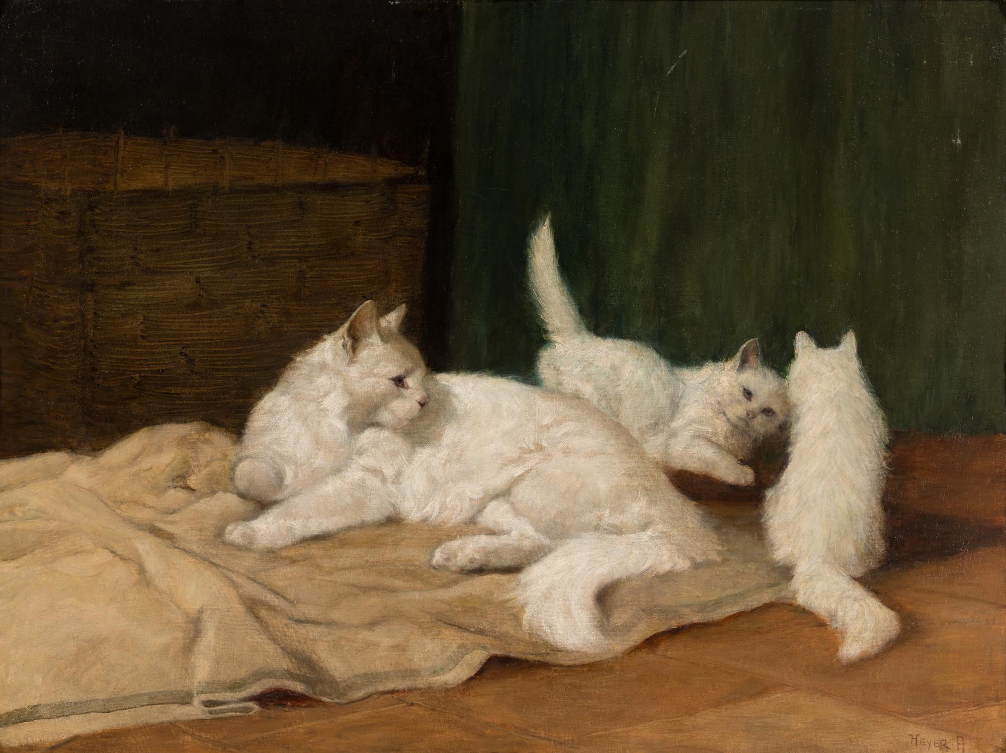 Mischievous Kittens