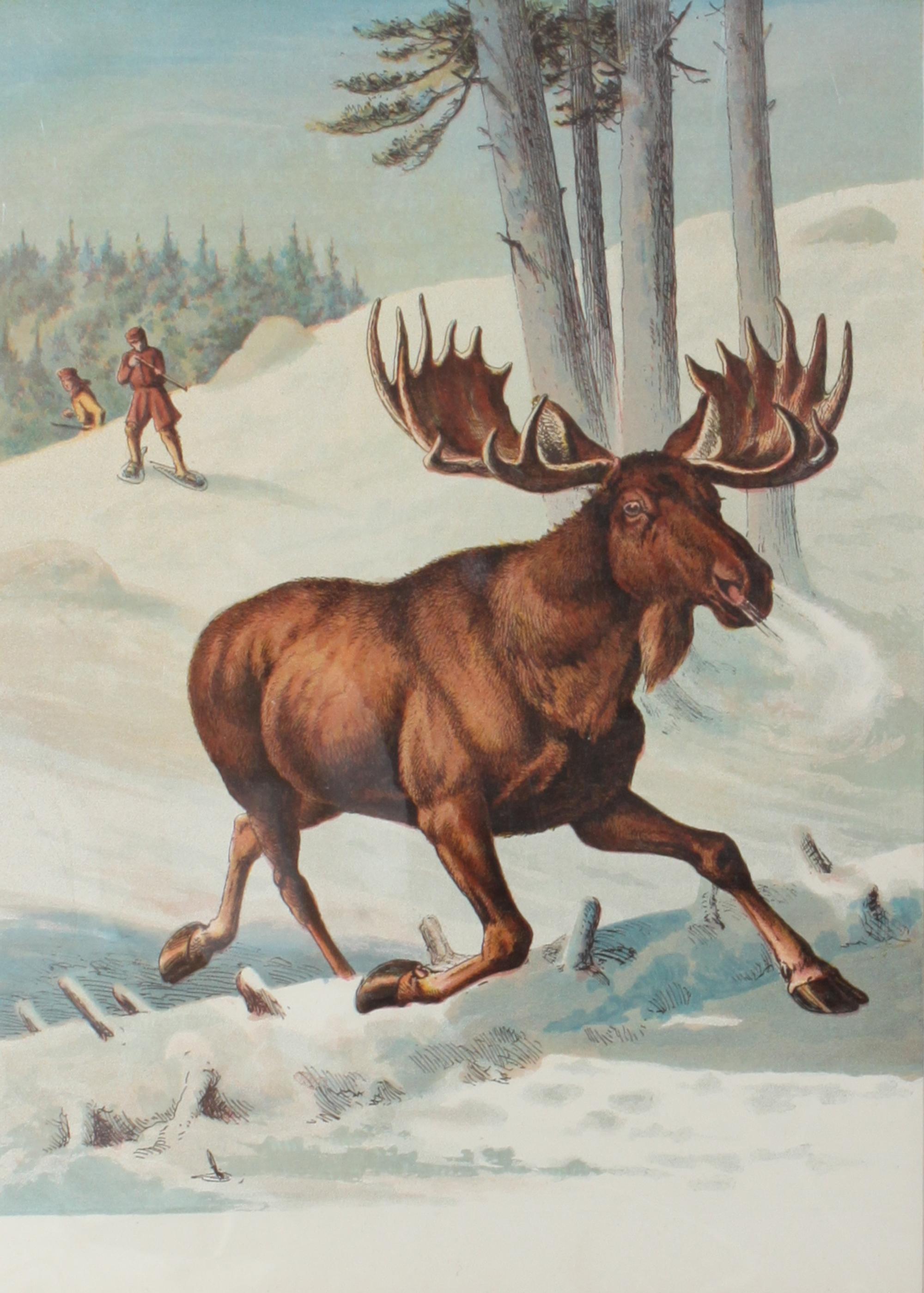 Eight Hand Colored Animal Prints Height 7 1/2 x width 10 3/4 inches (largest) — LATE 19TH/EARLY 20TH CENTURY