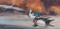 Tom Sander, (American, b. 1938), Wood Ducks