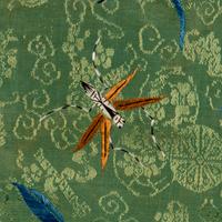 A Chinese Apple Green Ground Embroidered 'Peonies and Insects' Silk Lady's Robe, Changyi, 19th Century 清晚期 蘋果綠地綉牡丹草蟲氅衣