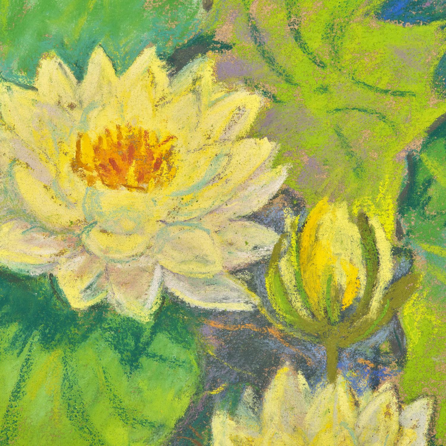 Waterlilies