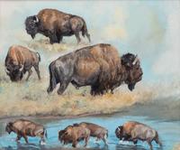 Buffalo Study