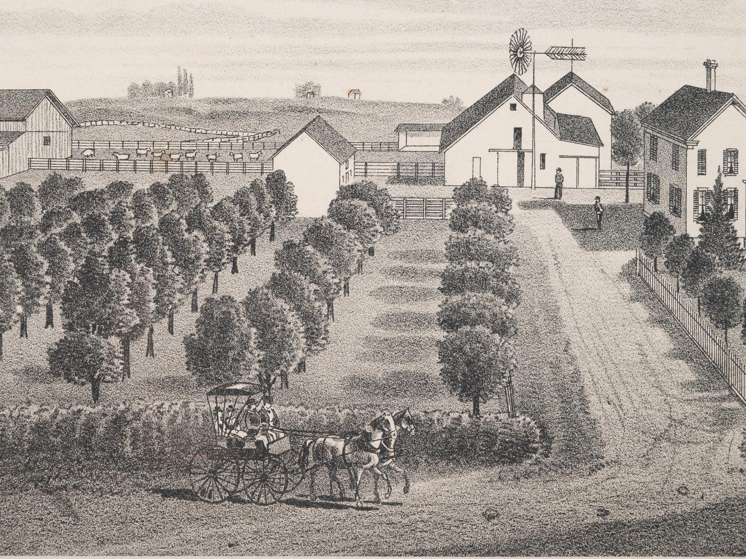 Printed City Views and Farm Scenes of Bloomingdale and Dupage County, Ill. N.p.: N.d. 23 x 21 In. Matted and framed.