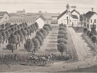 Printed City Views and Farm Scenes of Bloomingdale and Dupage County, Ill. N.p.: N.d. 23 x 21 In. Matted and framed.