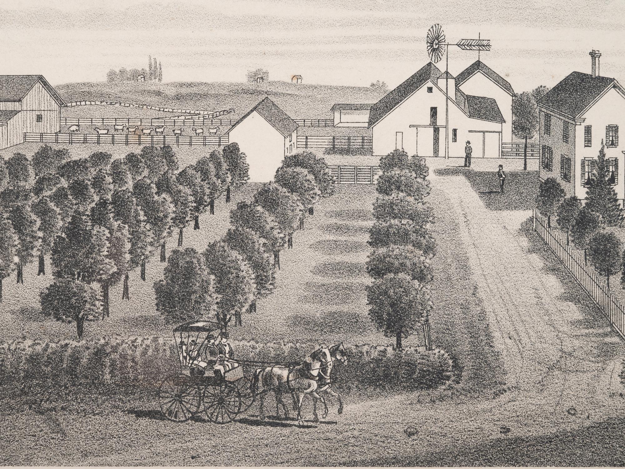 Printed City Views and Farm Scenes of Bloomingdale and Dupage County, Ill. N.p.: N.d. 23 x 21 In. Matted and framed.