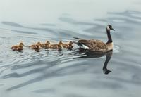 Mother Goose