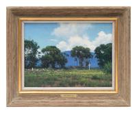 Taos Summer Days, 1985
