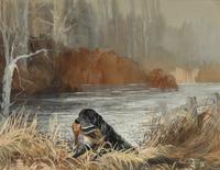 Field Trial Champion Labrador Retrievers and Bring Him Up Boy! (two works)