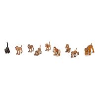 Eight Dogs and a Cat