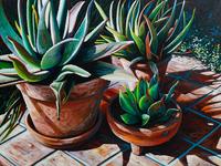 Patio Pots on Tile , 1991