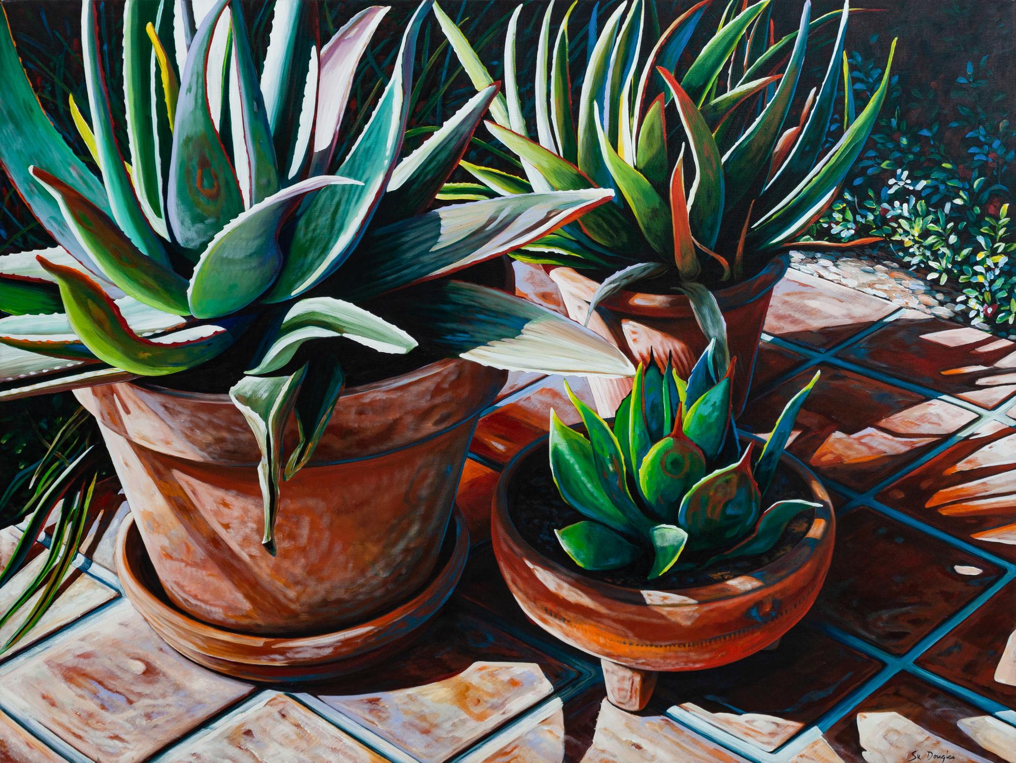 Patio Pots on Tile , 1991