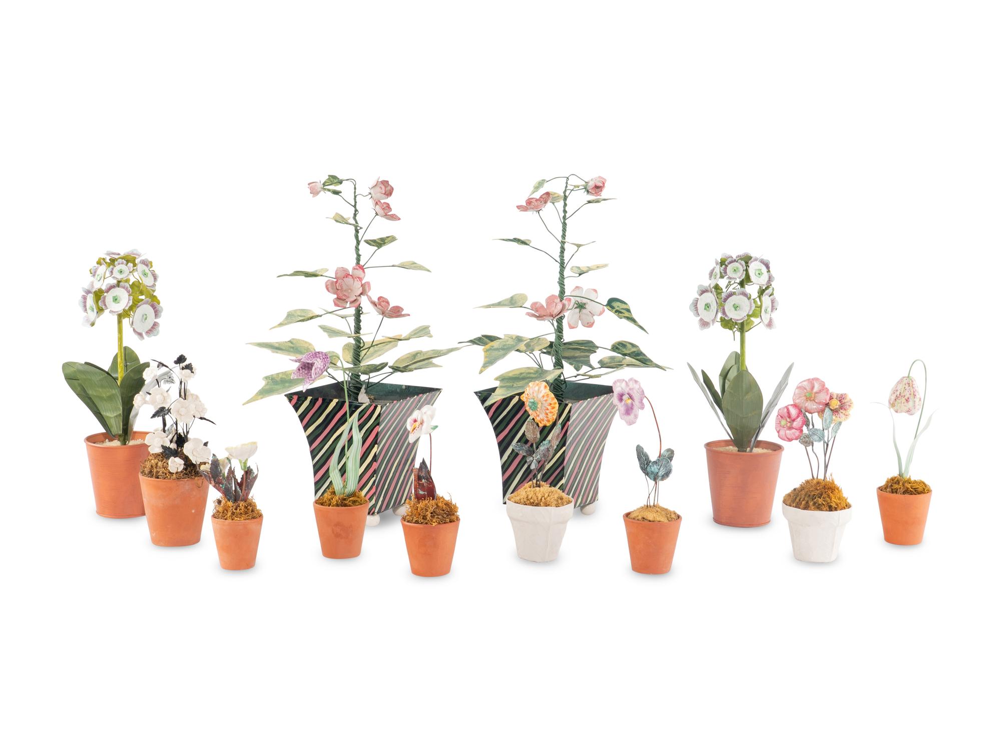 A Group of Twelve Tôle Models of Flowering Plants