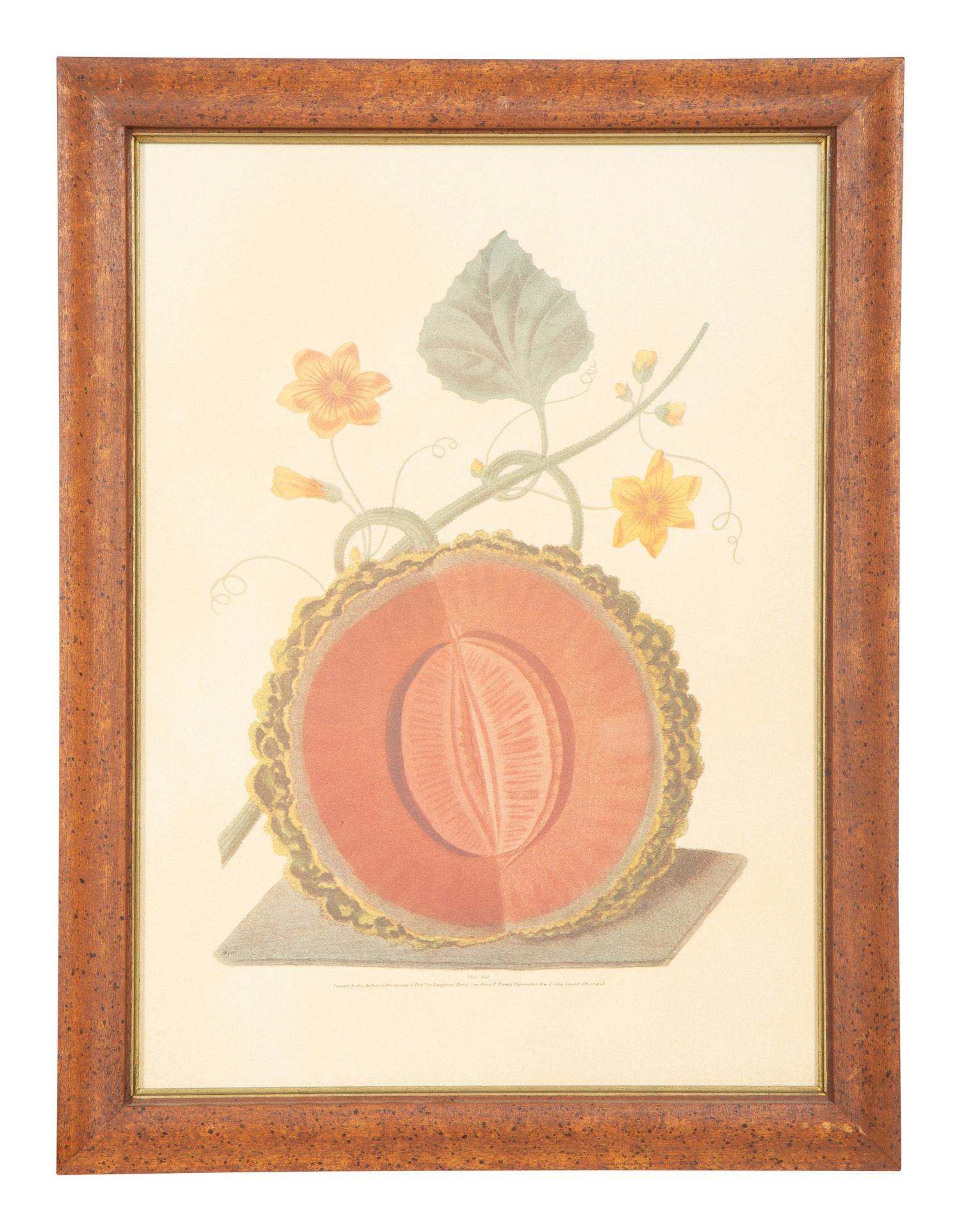 Two George Brookshaw Pomona Britanica Plates