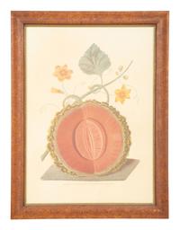 Two George Brookshaw Pomona Britanica Plates