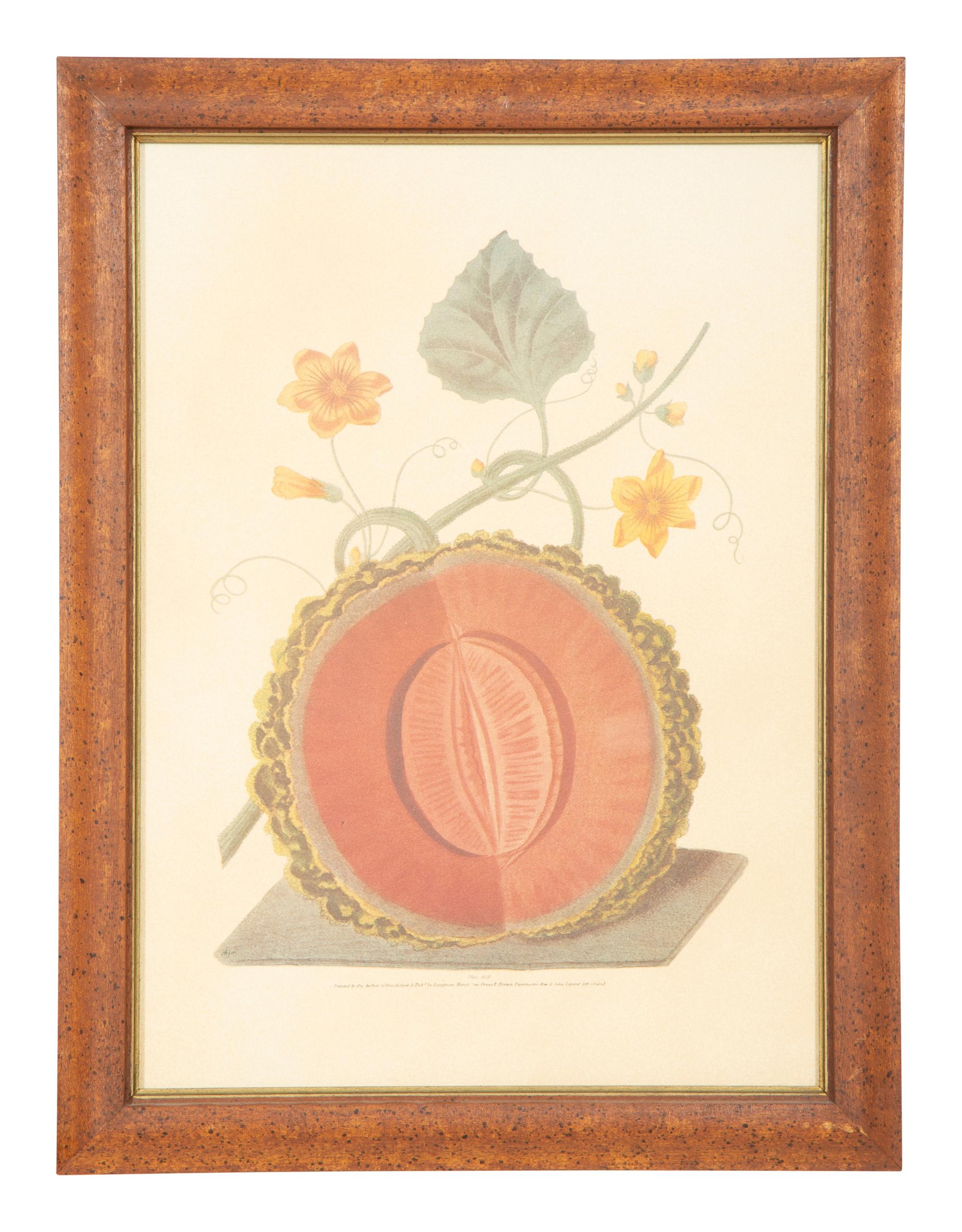 Two George Brookshaw Pomona Britanica Plates