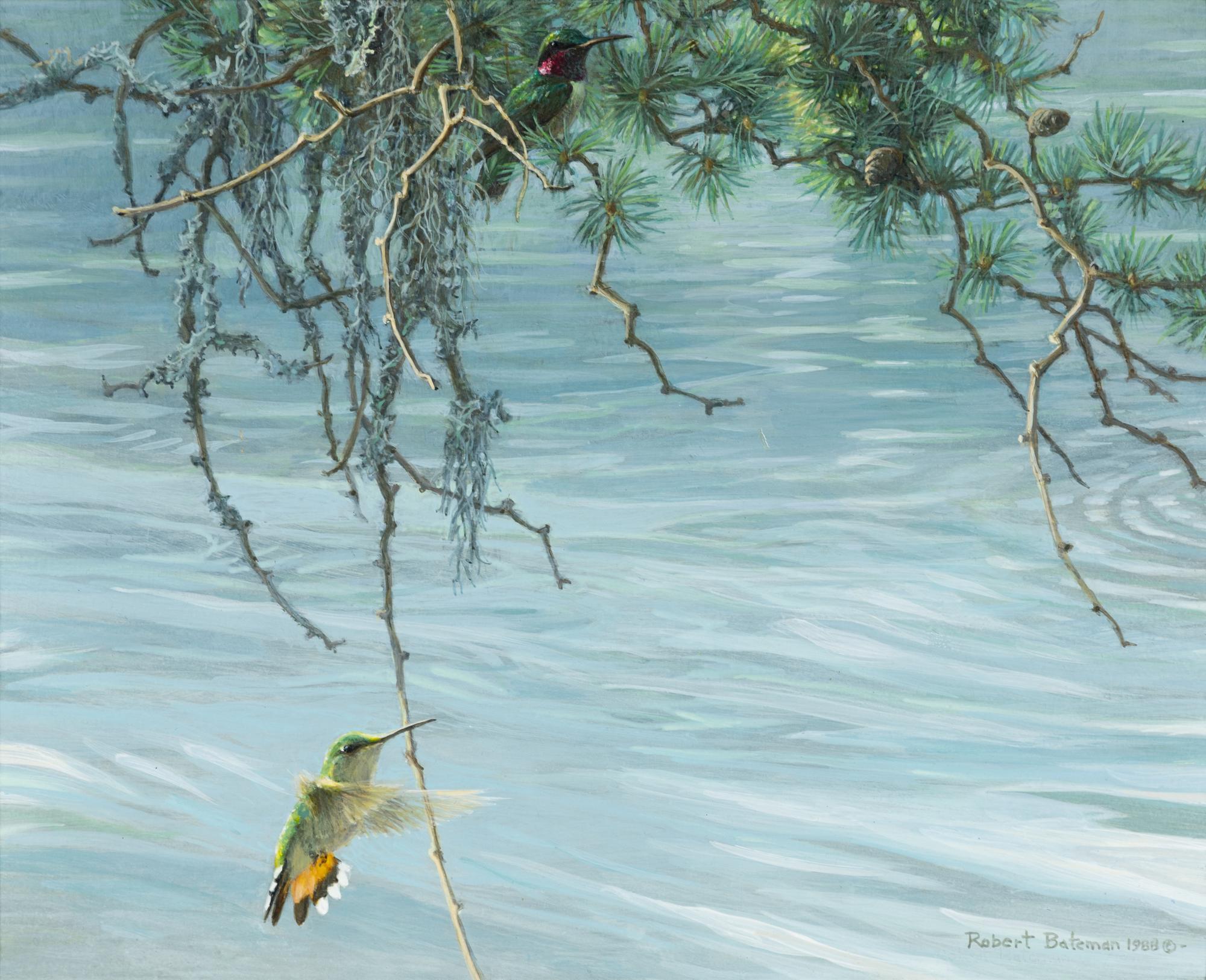 Hummingbirds