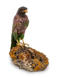 A Carved Agate Figure of a Falcon and a Carved Jasper Figure of a Wren