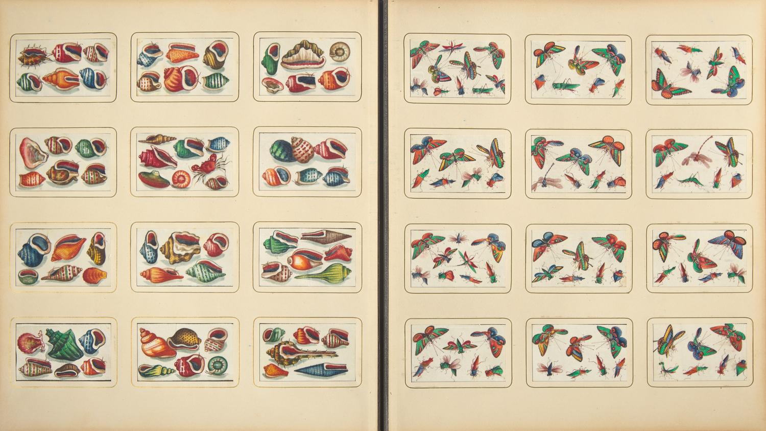 A Rare Album of 635 Chinese Export Miniature Pith Paintings, Second Half 19th Century 清晚期 外銷中國風情通草畫冊（通草畫共計635幅）