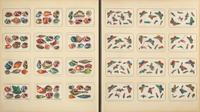 A Rare Album of 635 Chinese Export Miniature Pith Paintings, Second Half 19th Century 清晚期 外銷中國風情通草畫冊（通草畫共計635幅）