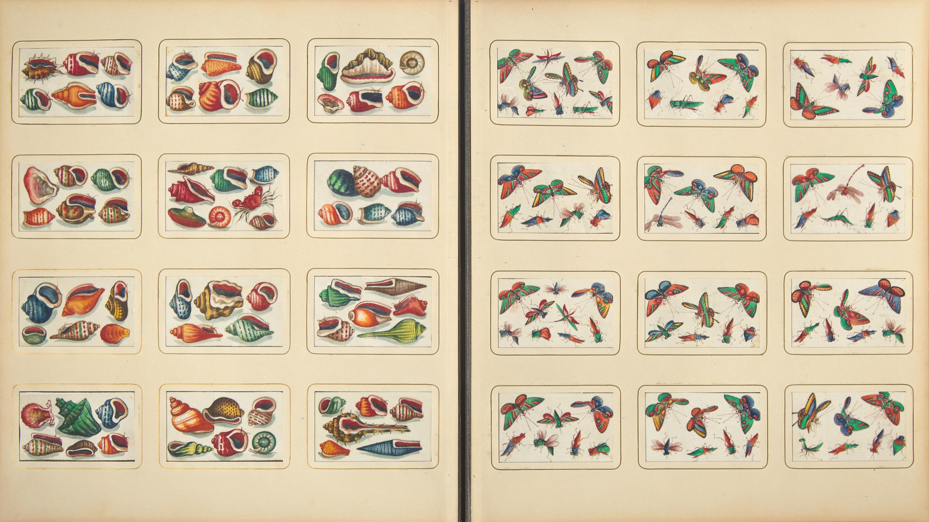 A Rare Album of 635 Chinese Export Miniature Pith Paintings, Second Half 19th Century 清晚期 外銷中國風情通草畫冊（通草畫共計635幅）