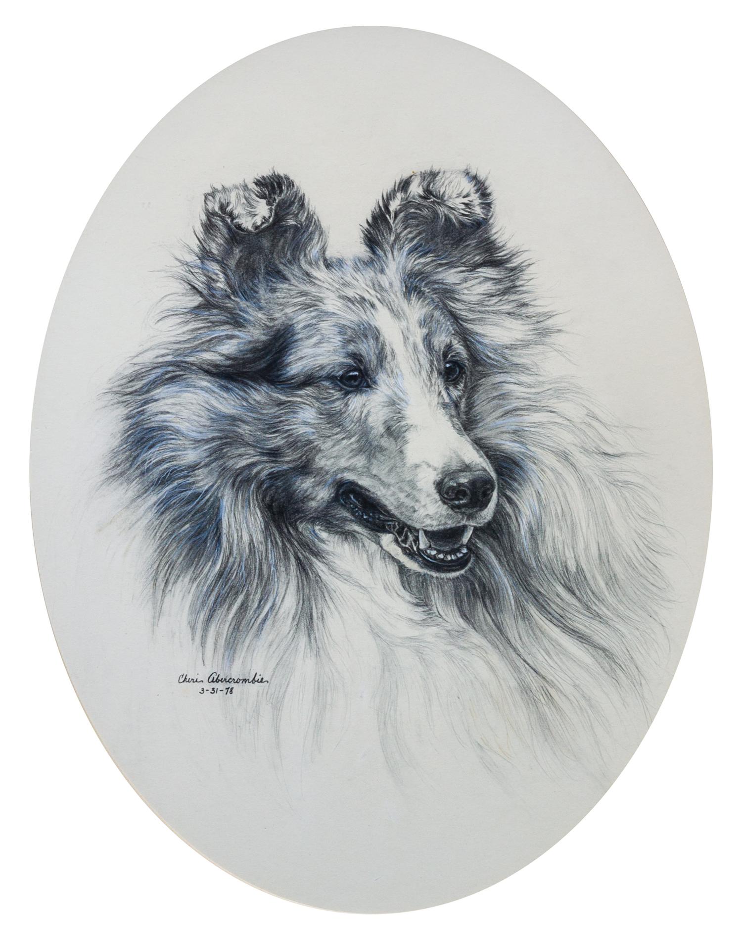 Three Works of Art depicting Shetland Sheepdogs Largest: 17 x 12 inches.