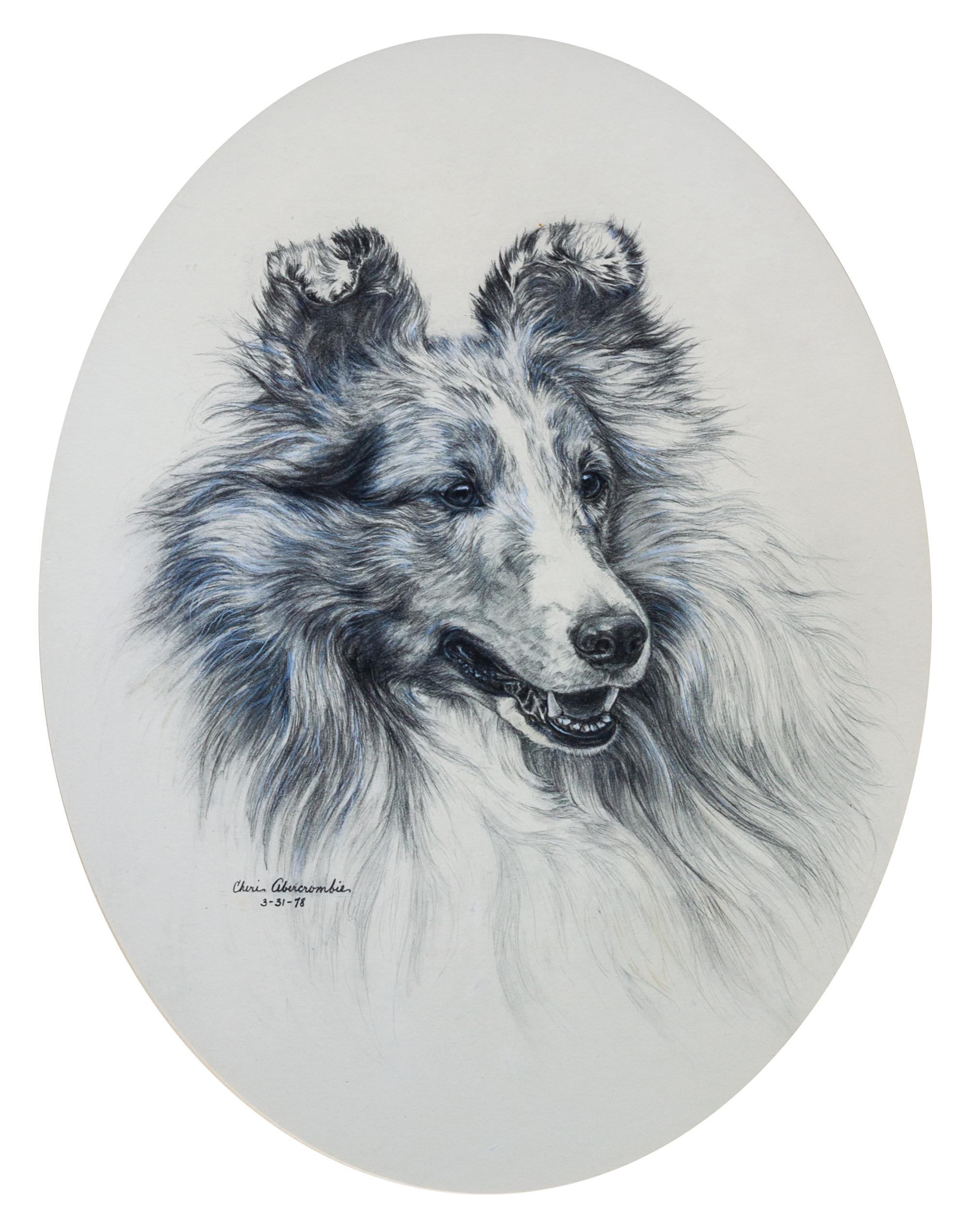 Three Works of Art depicting Shetland Sheepdogs Largest: 17 x 12 inches.