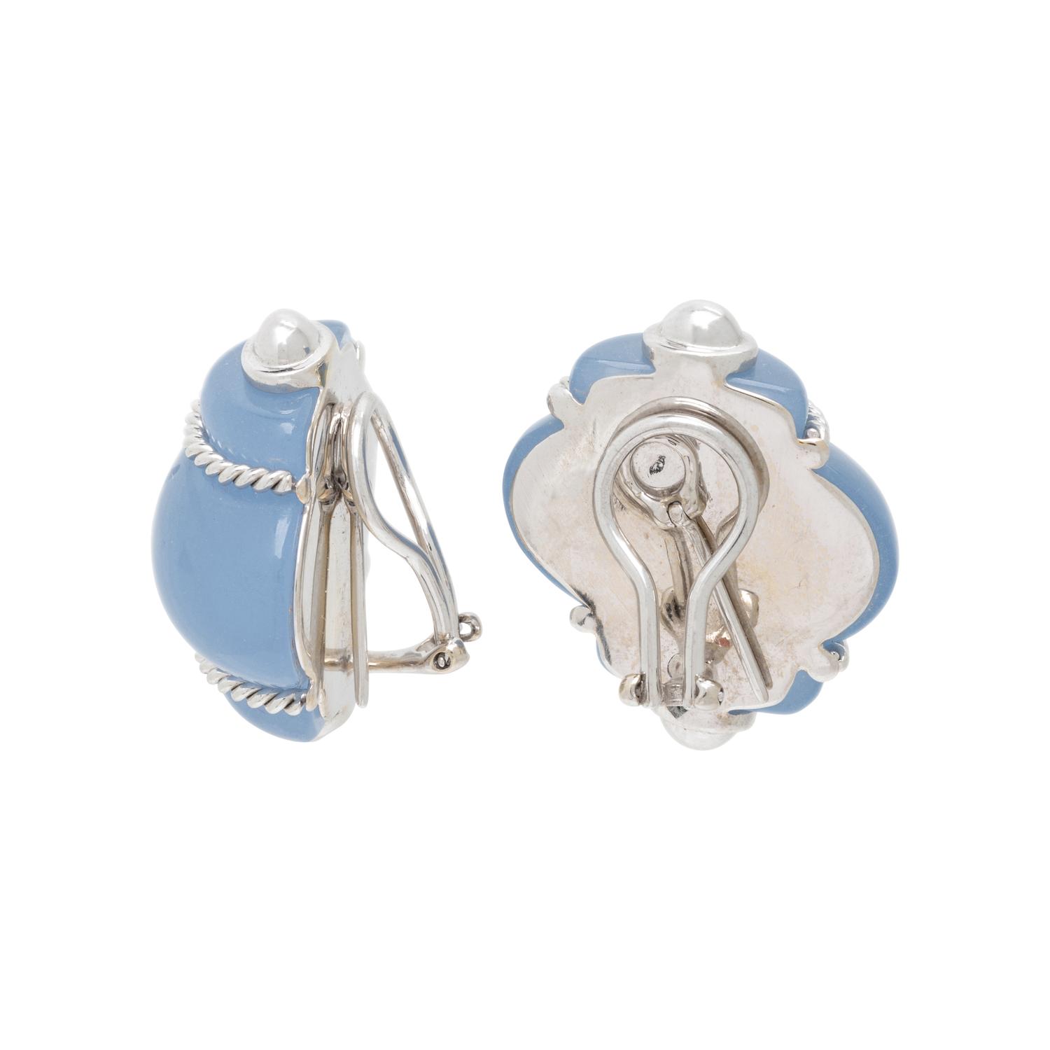 BLUE RESIN SHELL EARRINGS