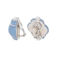 BLUE RESIN SHELL EARRINGS