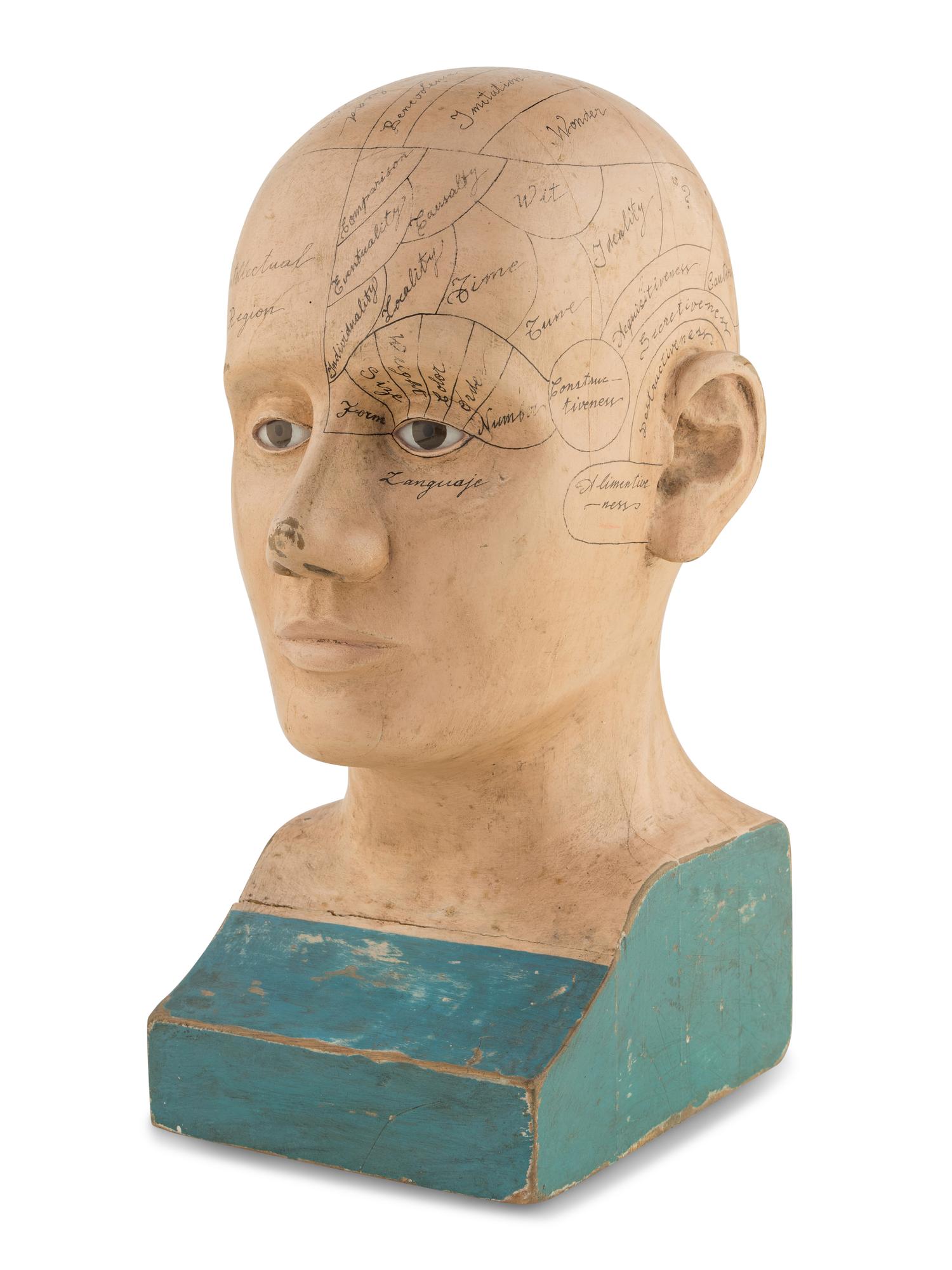 A Carved and Painted Wood Phrenology Head