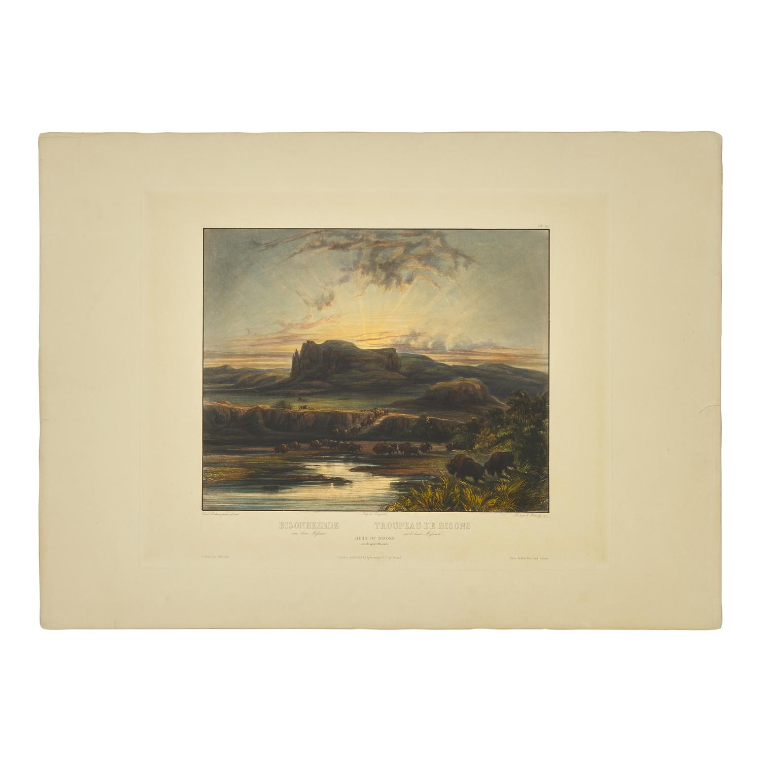 [Native-Americana] Bodmer, Karl. Bisonheerde...Herd of Bisons on the upper Missouri