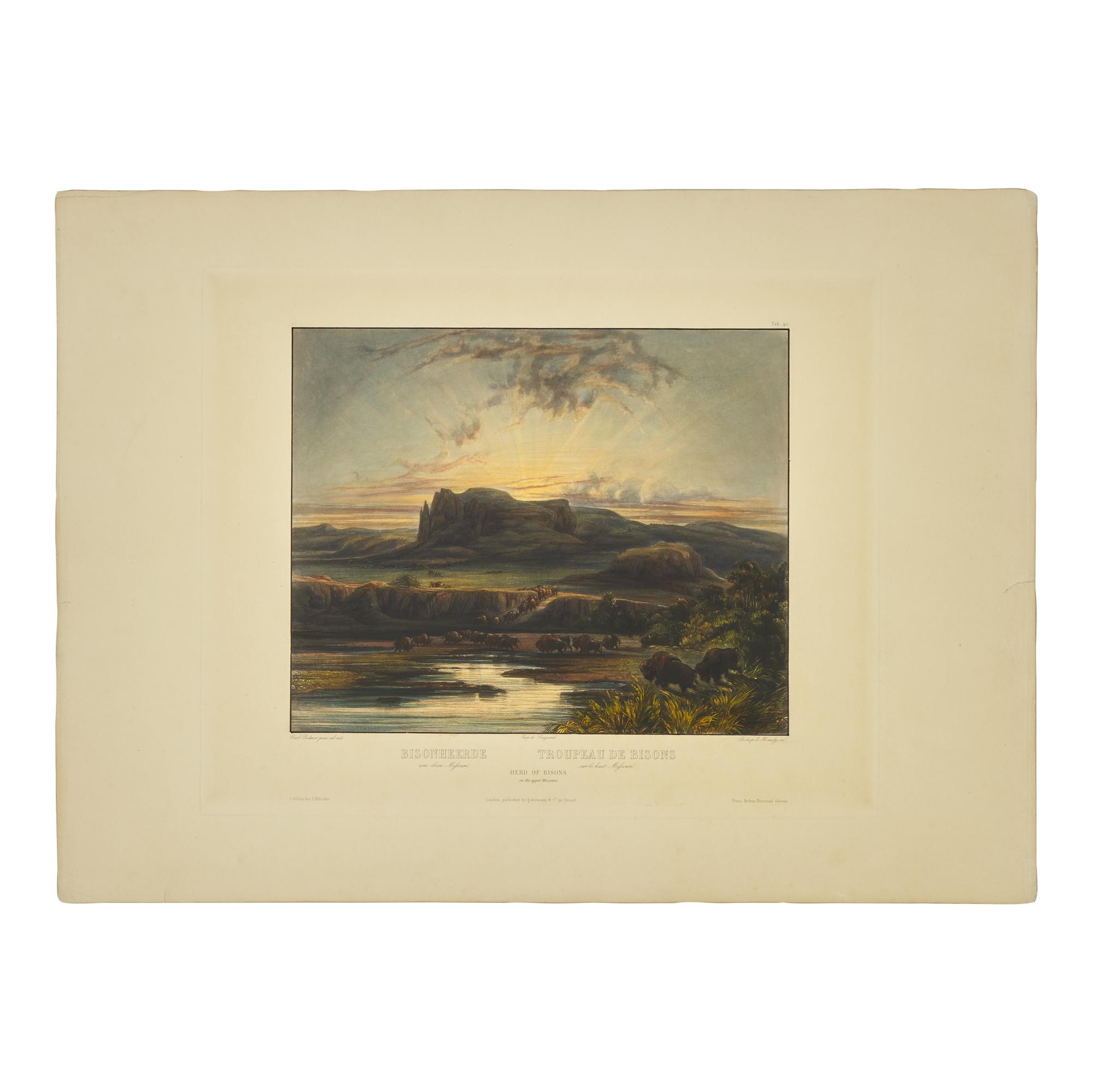 [Native-Americana] Bodmer, Karl. Bisonheerde...Herd of Bisons on the upper Missouri
