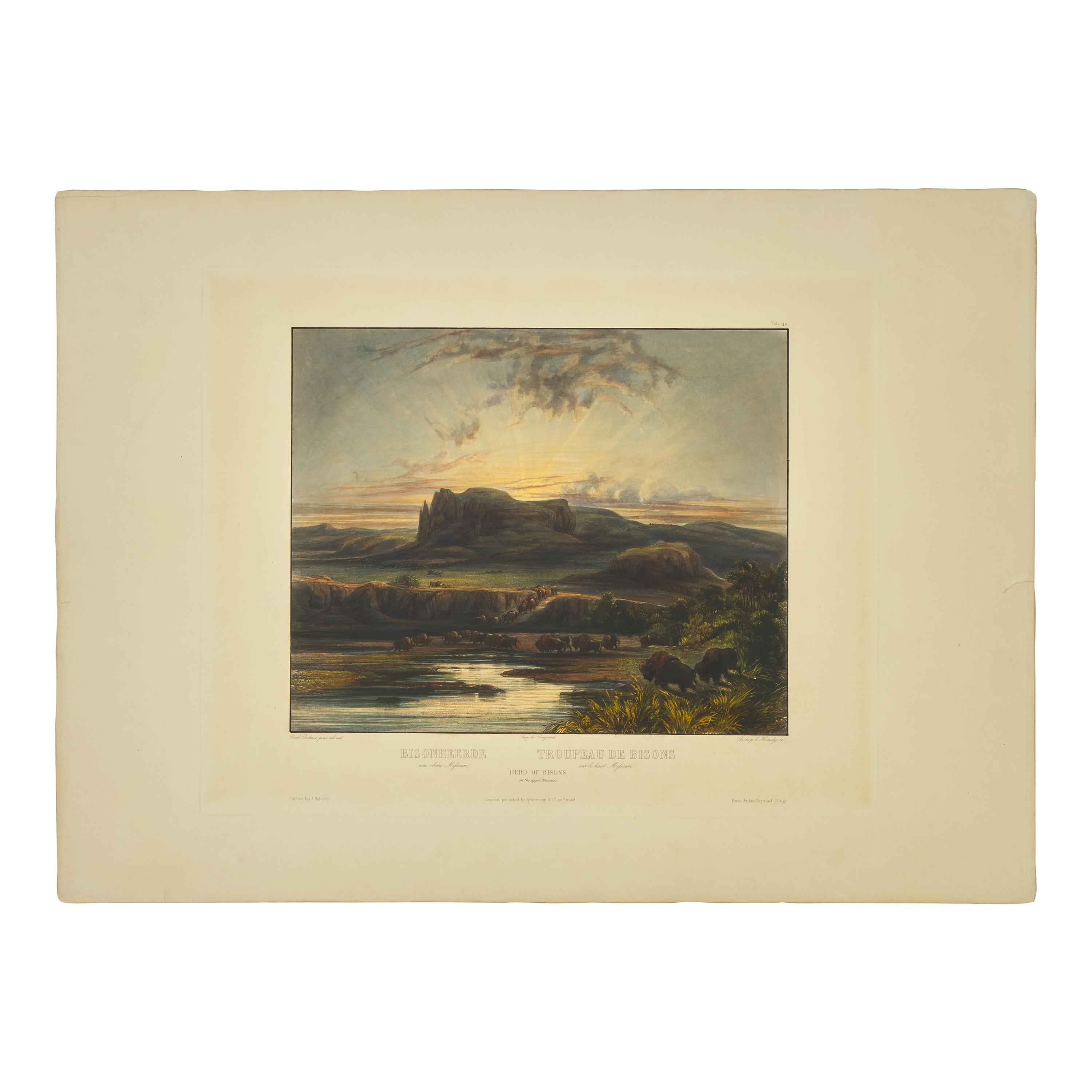 [Native-Americana] Bodmer, Karl. Bisonheerde...Herd of Bisons on the upper Missouri