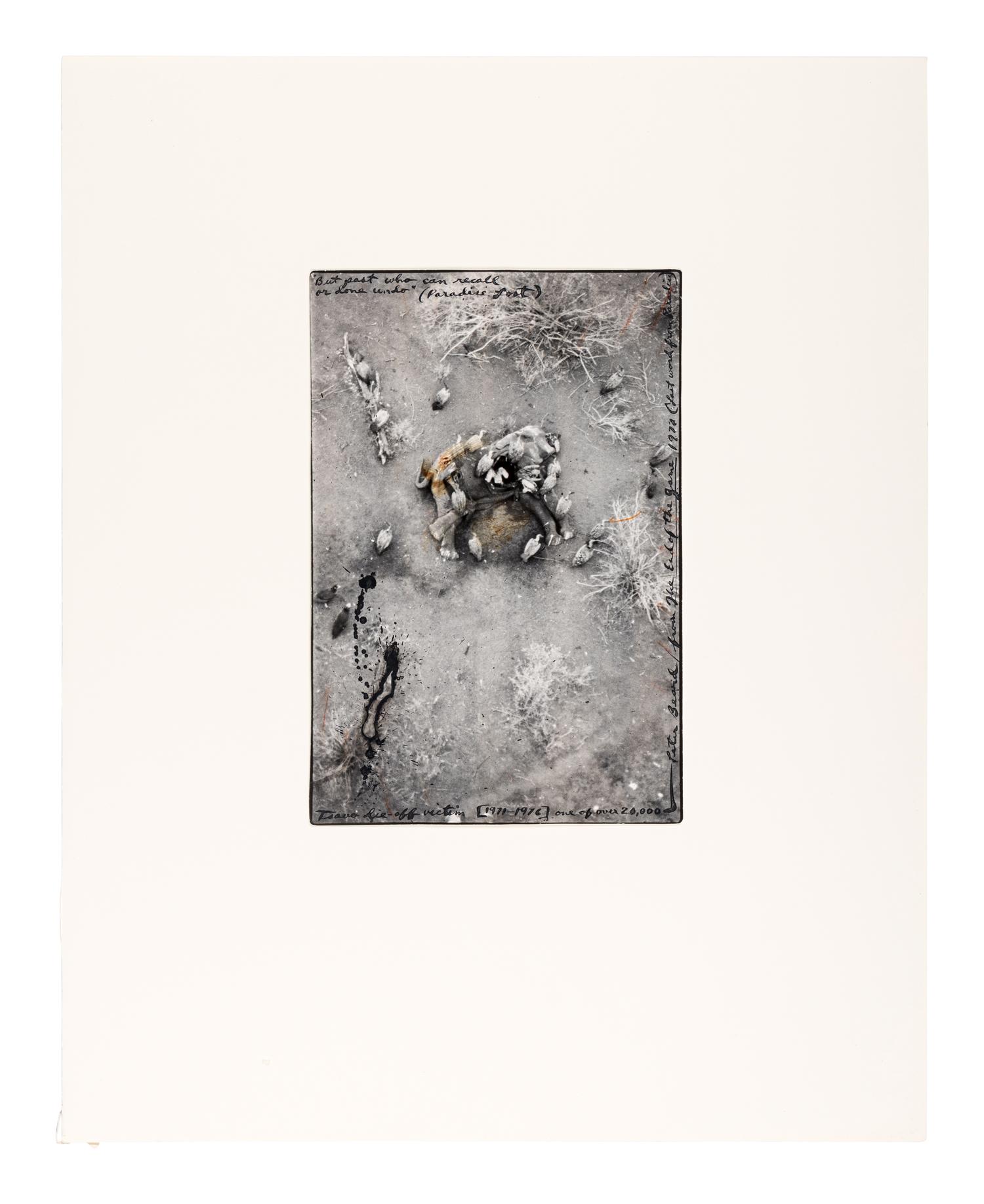 But Past Who Can Recall or Done Undo (Paradise Lost) (from The End of the Game ), 1977