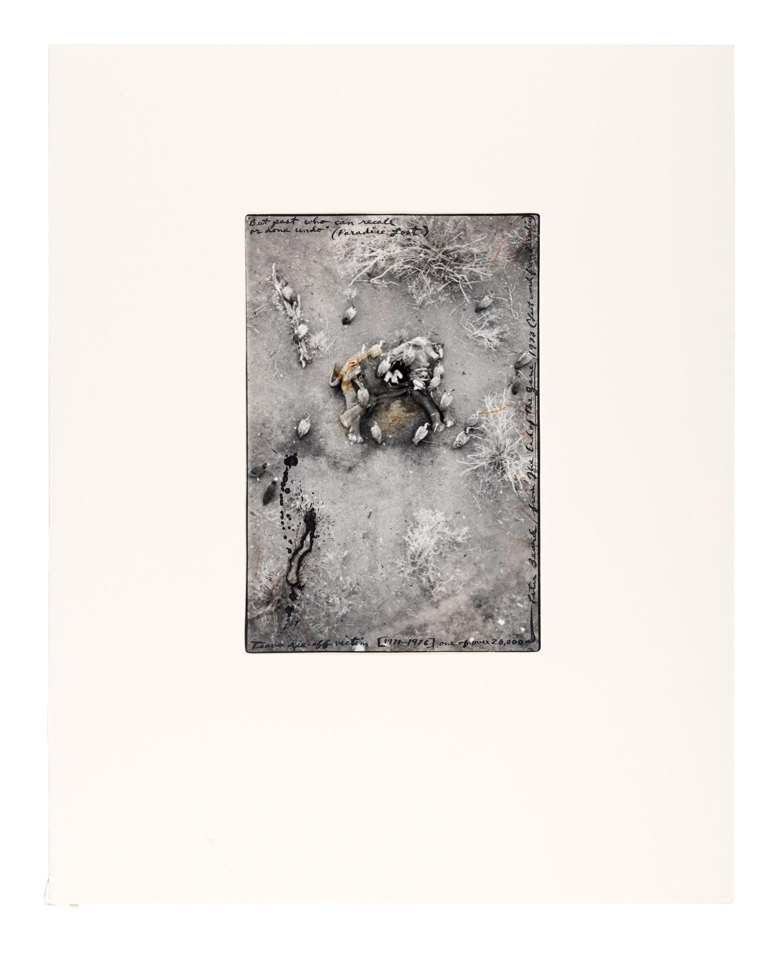 But Past Who Can Recall or Done Undo (Paradise Lost) (from The End of the Game ), 1977