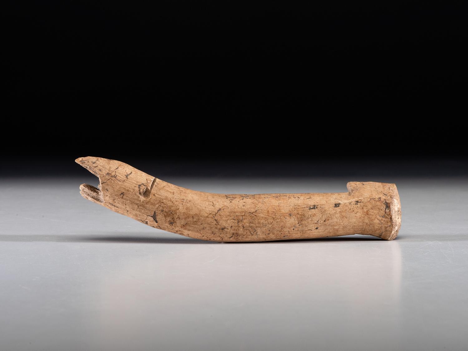 A Large Antler Atlatl Hook