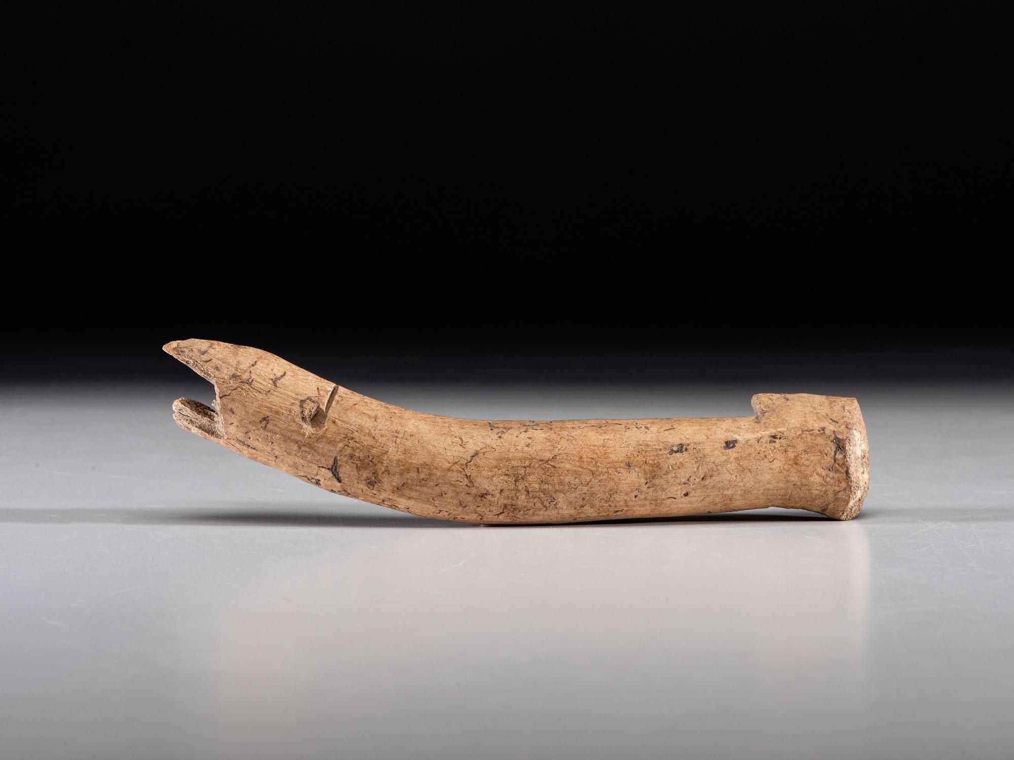 A Large Antler Atlatl Hook