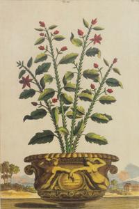 A Set of Three Framed Hand-Colored Chromolithographs