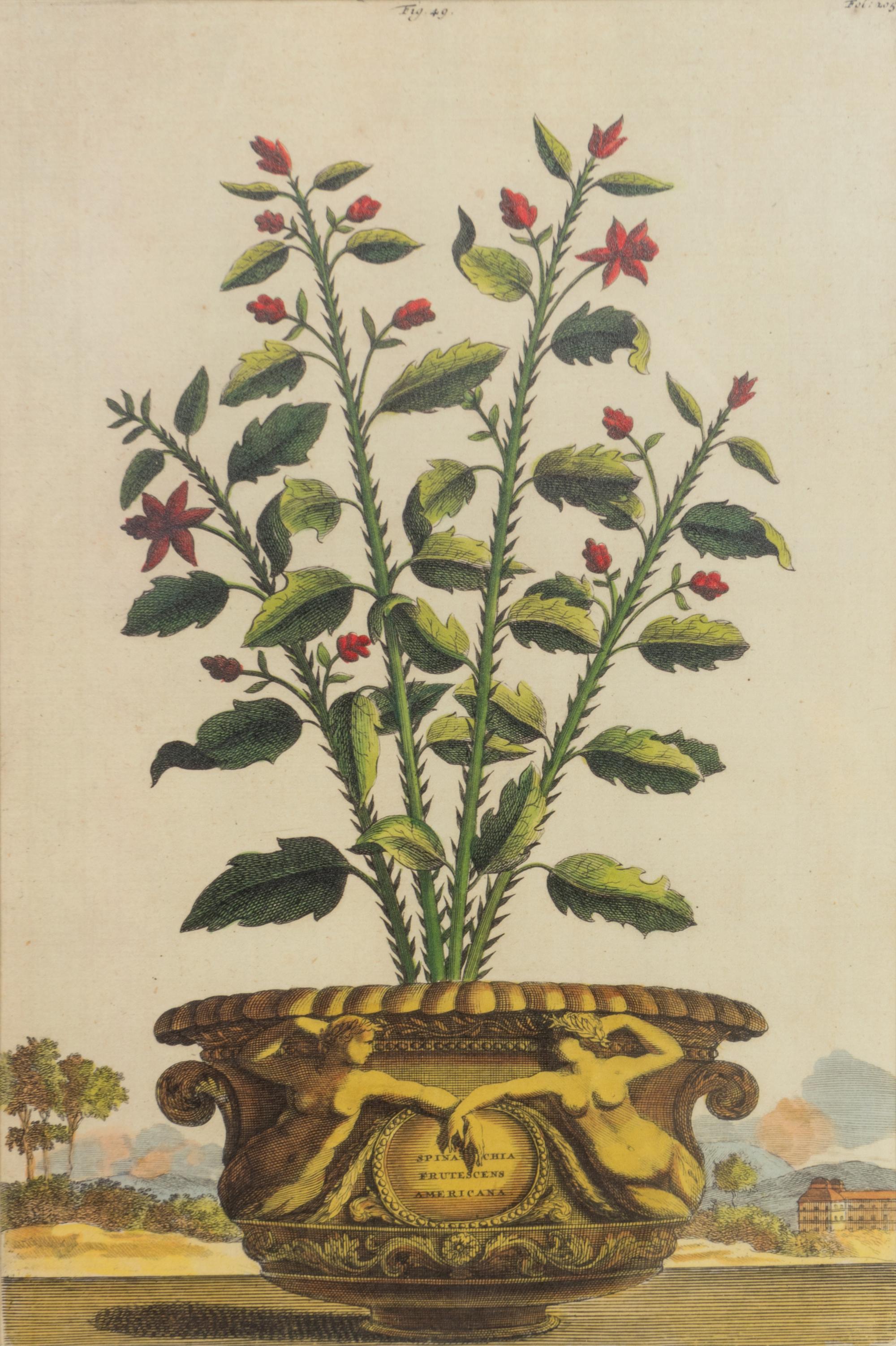 A Set of Three Framed Hand-Colored Chromolithographs