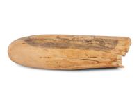An Unusually Large Scrimshaw Tooth Depicting A Seaport