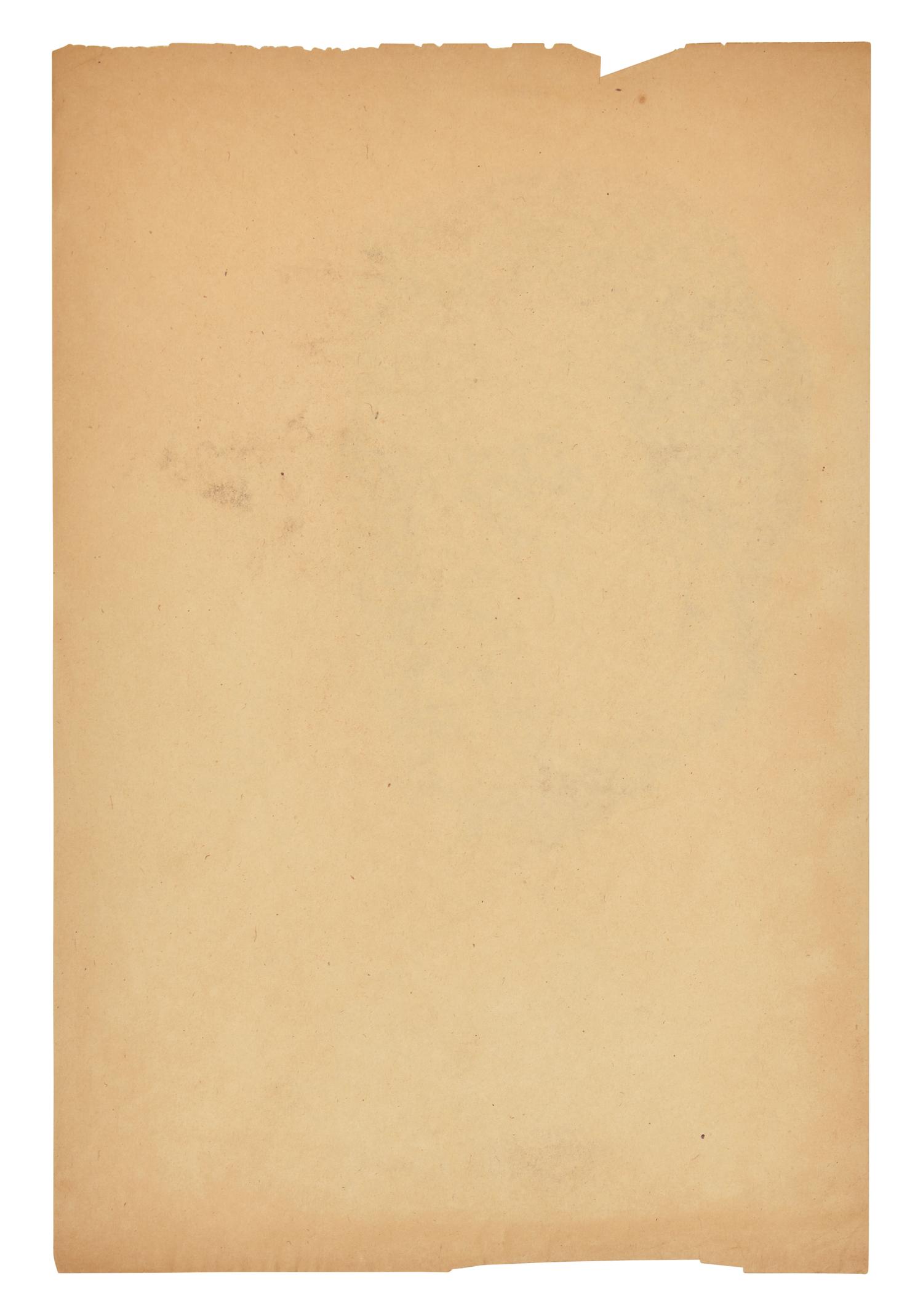 Untitled (Self-Portrait), c. 1950s
