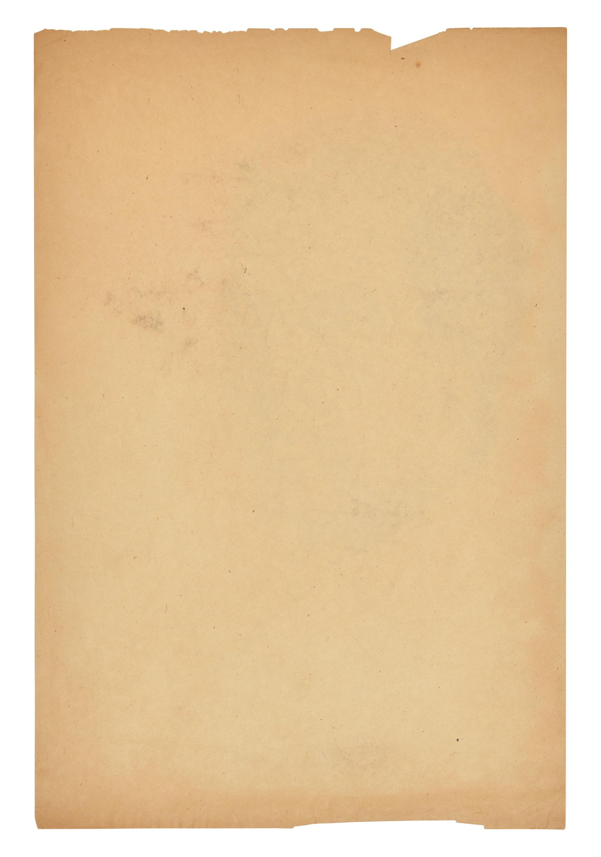 Untitled (Self-Portrait), c. 1950s