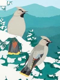 Cedar Wax Wings , 1987