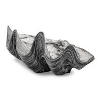 A Large Silver Clad Seashell