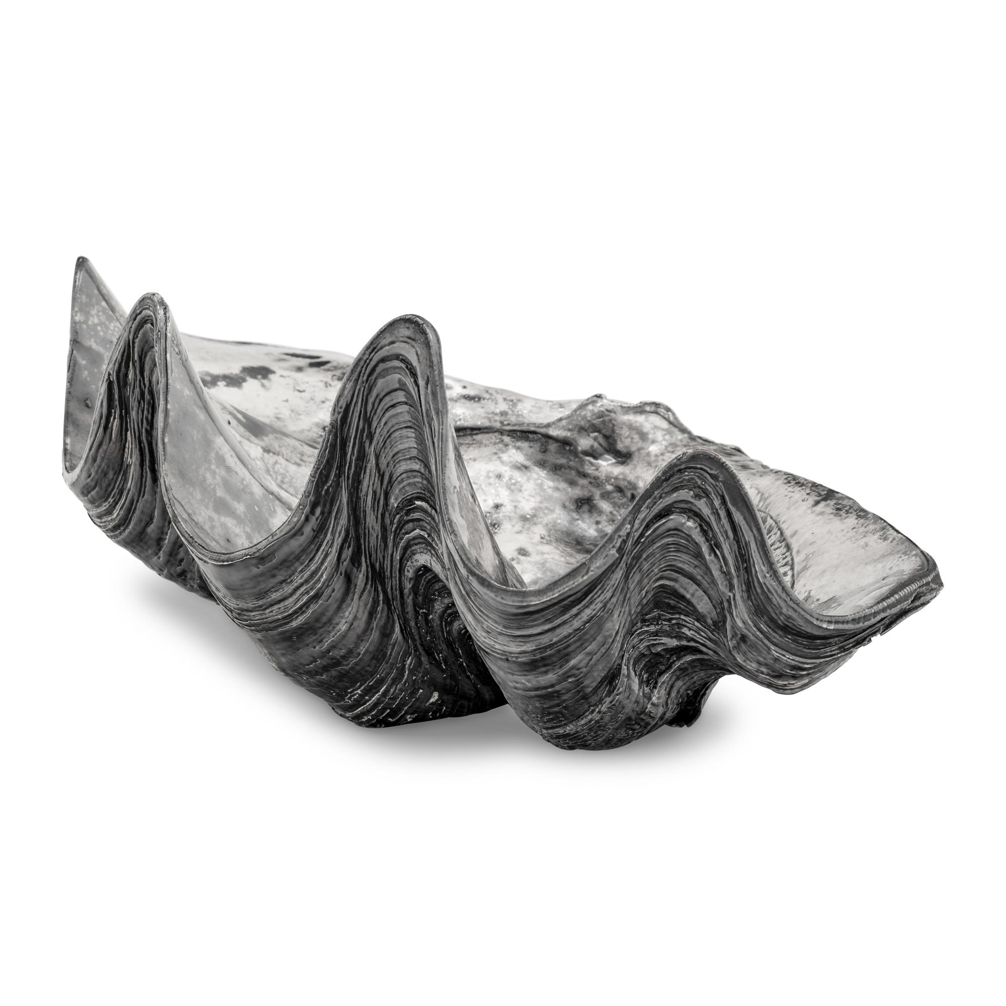 A Large Silver Clad Seashell