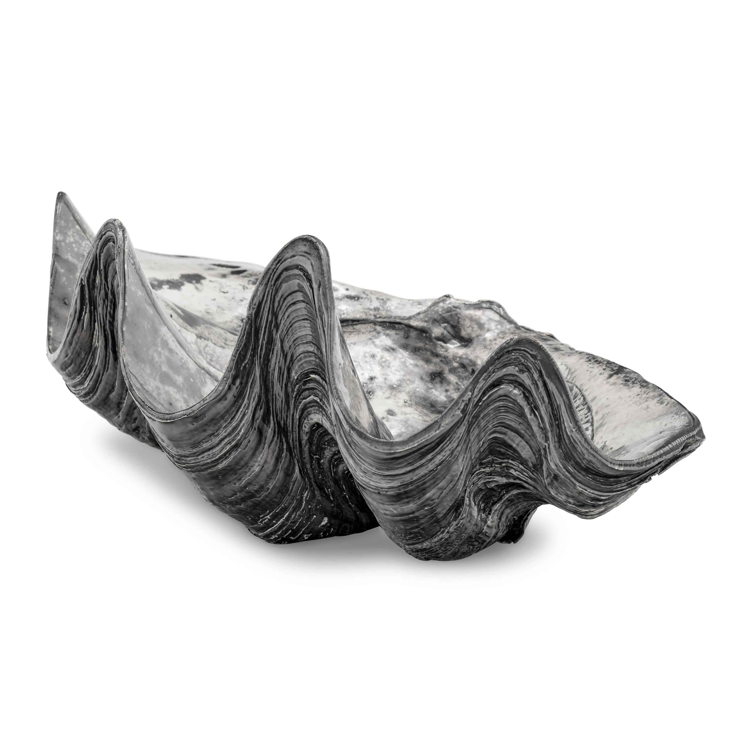 A Large Silver Clad Seashell