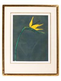 Bird of Paradise , edition 81/120