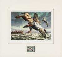 (DUCK STAMPS) A collection of 12 signed lithographs with accompanying duck stamps.