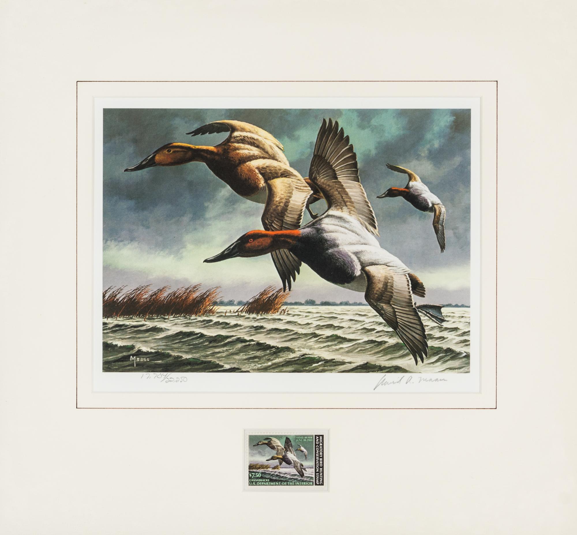 (DUCK STAMPS) A collection of 12 signed lithographs with accompanying duck stamps.
